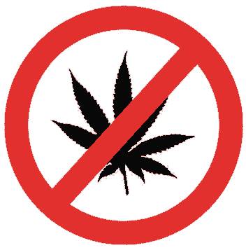 cannabis